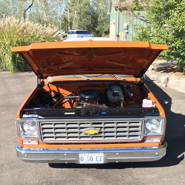 1976 Chevrolet Blazer Cheyenne - photo 7