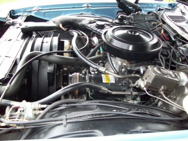 1976 Chevrolet Monte Carlo Landau - photo 12