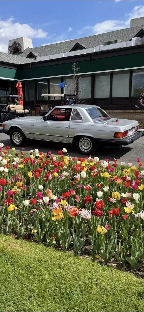 1976 Mercedes-Benz 450SL Convertible Grey Absolutely gorgeous 1976 Mercedes-Benz 450SL Absolutely gorgeous