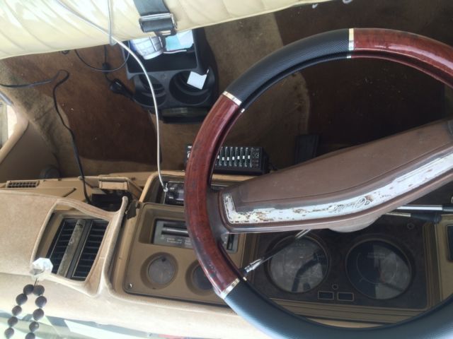 1976 Chevrolet Monte Carlo Landau - photo 9