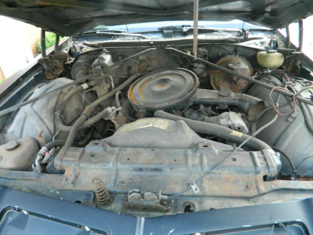 1976 Oldsmobile Cutlass Supreme - photo 13