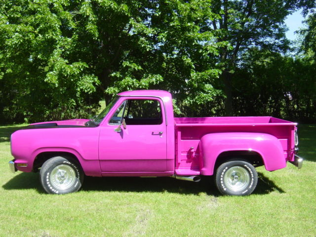 1976 Dodge Power Wagon - photo 12