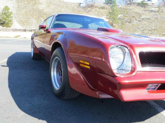 1976 Pontiac Trans Am - photo 8