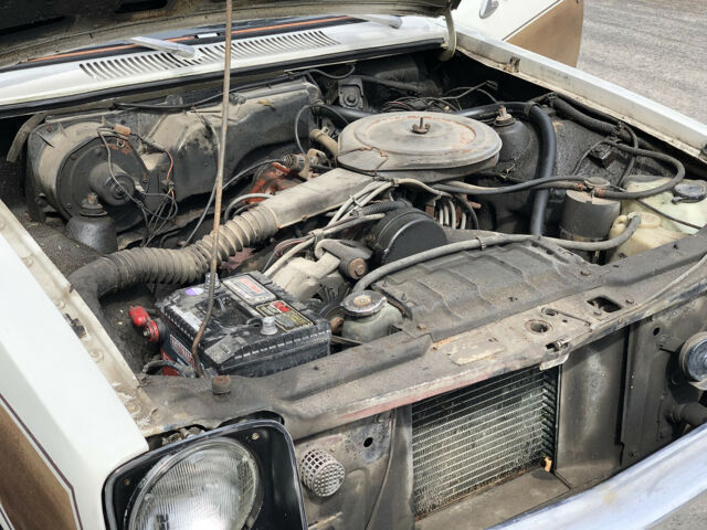 1976 Pontiac Acadian Woody - photo 11