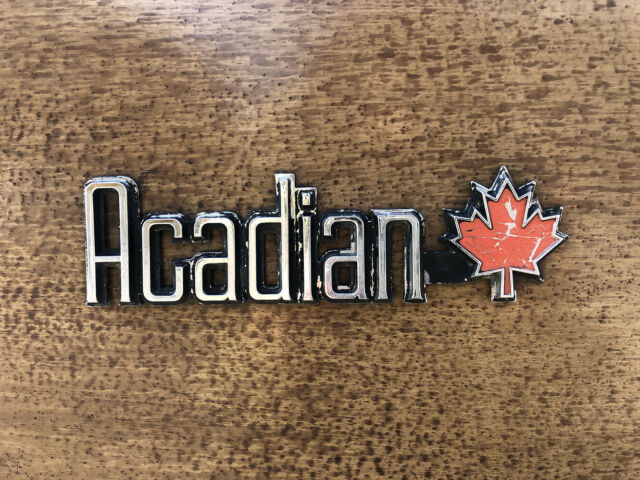 1976 Pontiac Acadian Woody - photo 2