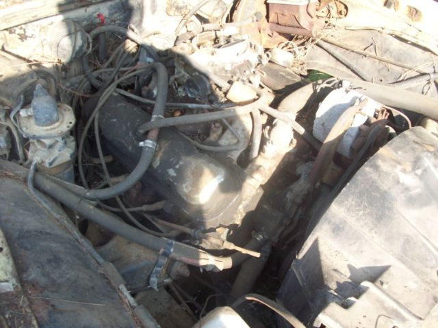 1976 Pontiac Firebird - photo 3