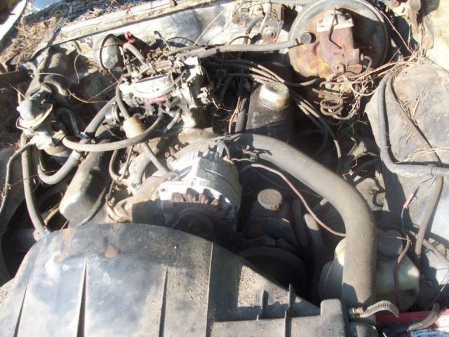 1976 Pontiac Firebird - photo 4