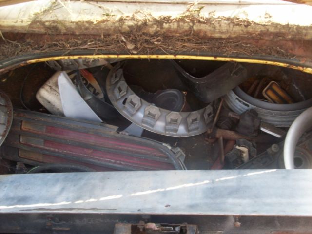 1976 Pontiac Firebird - photo 7