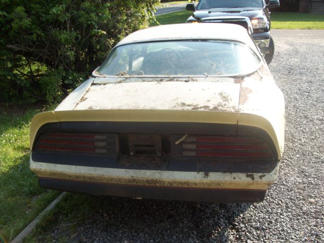1976 Pontiac Firebird - photo 8