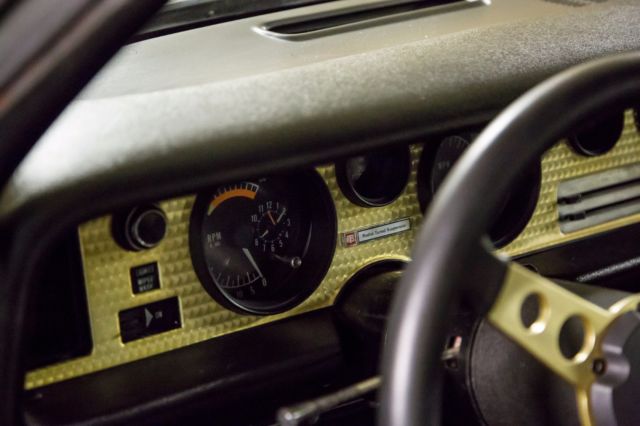 1976 Pontiac Firebird - photo 11