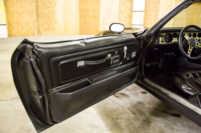 1976 Pontiac Firebird - photo 12