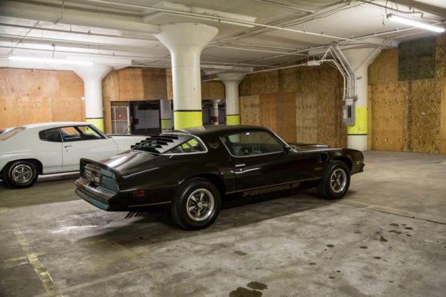 1976 Pontiac Firebird - photo 7