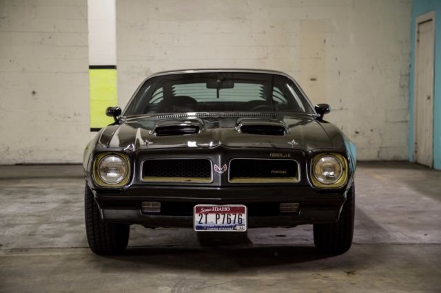 1976 Pontiac Firebird - photo 9