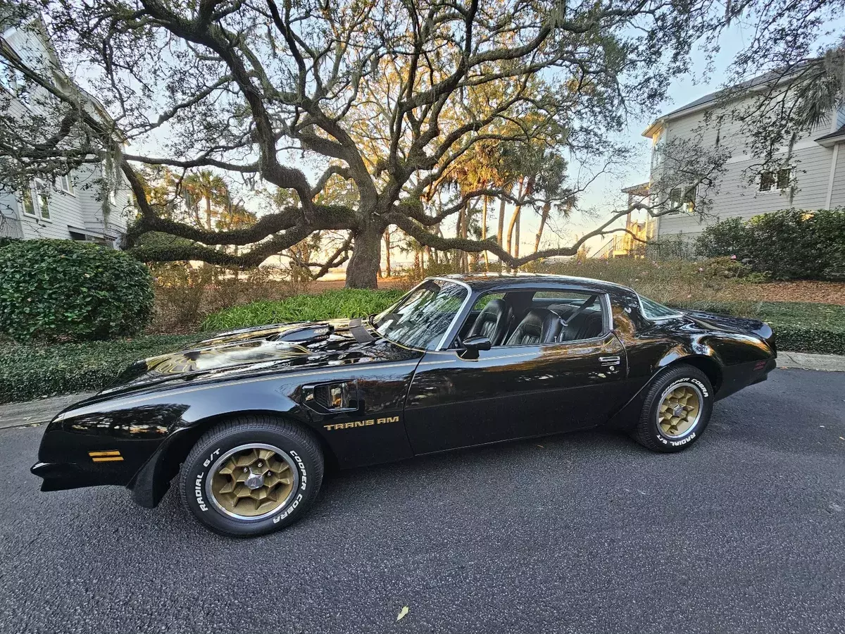 1976 Pontiac Firebird trans am