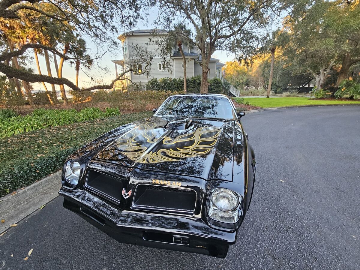 1976 Pontiac Firebird trans am - photo 2