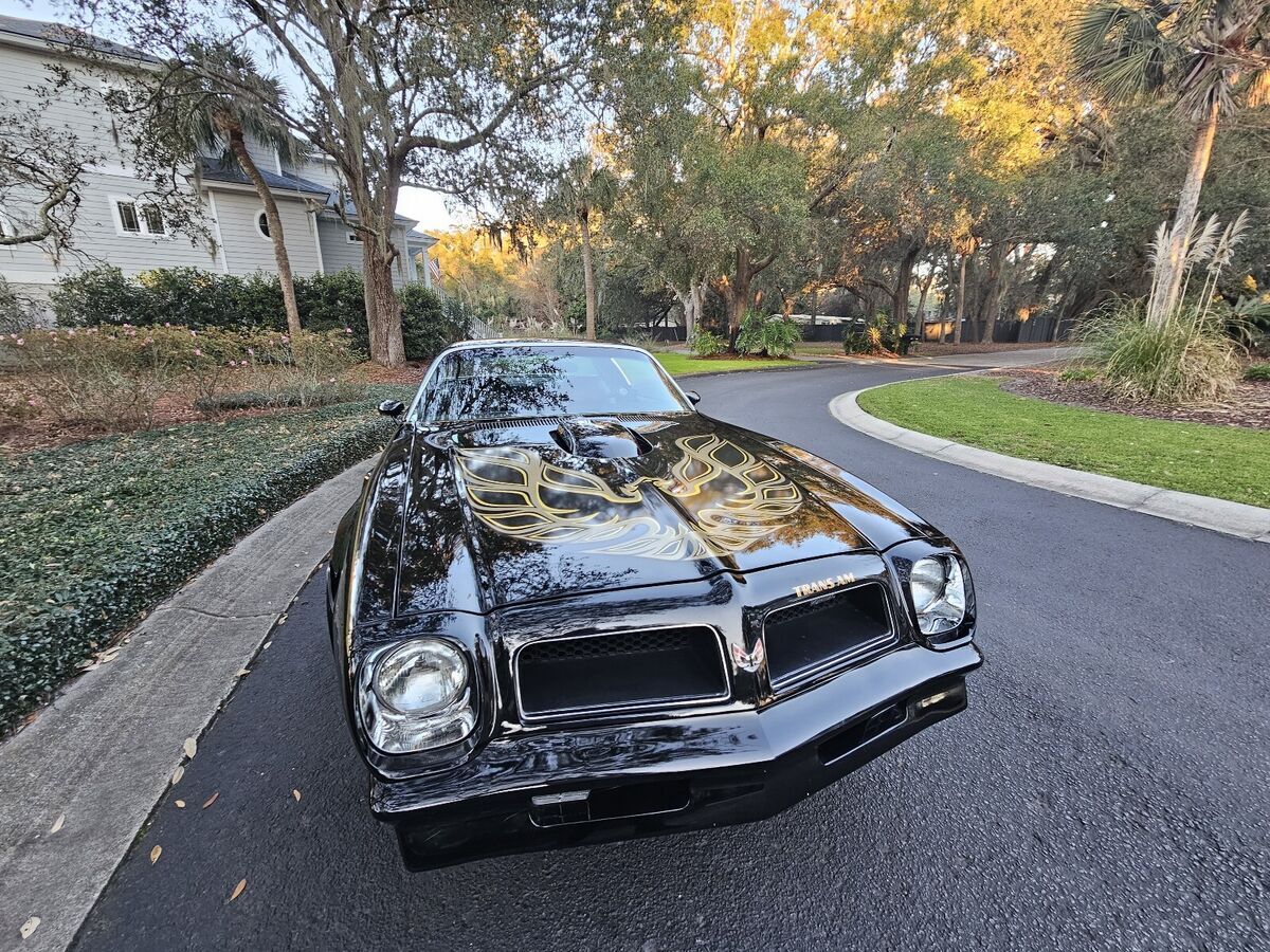 1976 Pontiac Firebird trans am - photo 4