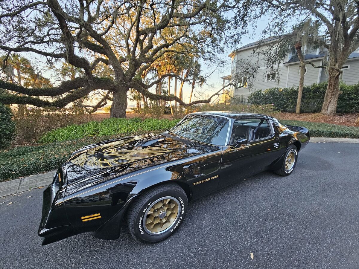 1976 Pontiac Firebird trans am - photo 5