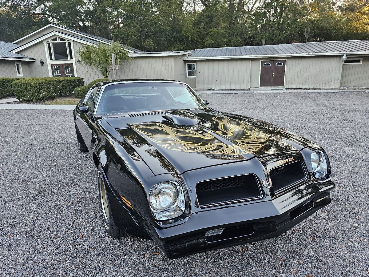 1976 Pontiac Firebird trans am - photo 7