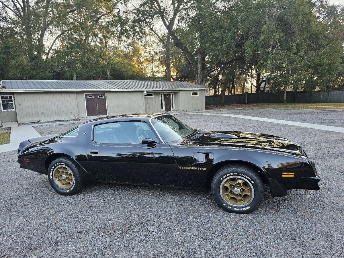 1976 Pontiac Firebird trans am - photo 8