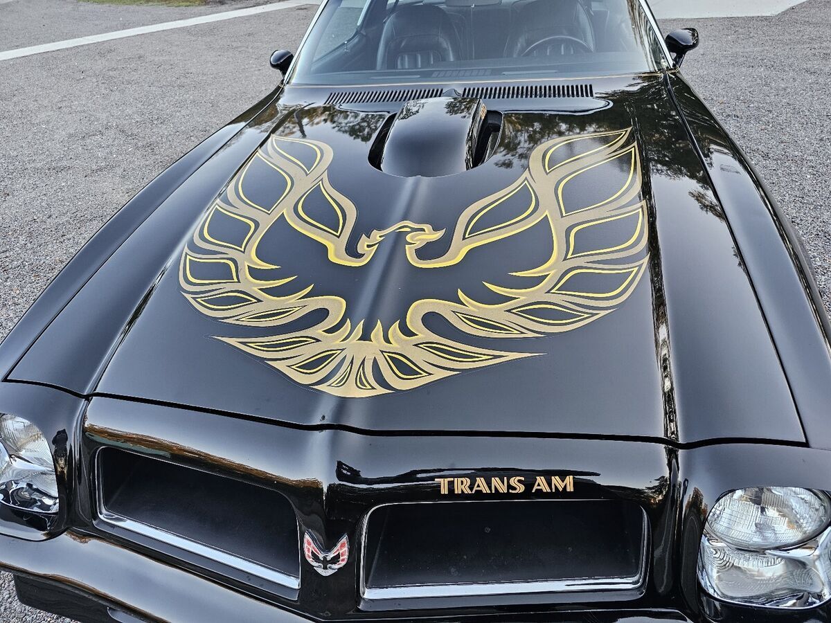 1976 Pontiac Firebird trans am - photo 9