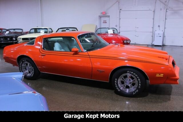 1976 Pontiac Firebird Espirit - photo 11