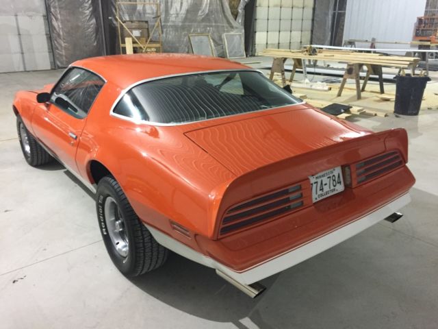 1976 Pontiac Firebird - photo 2