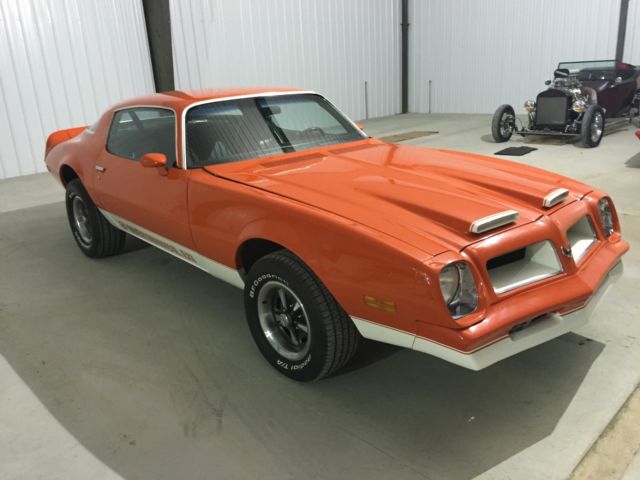 1976 Pontiac Firebird - photo 4