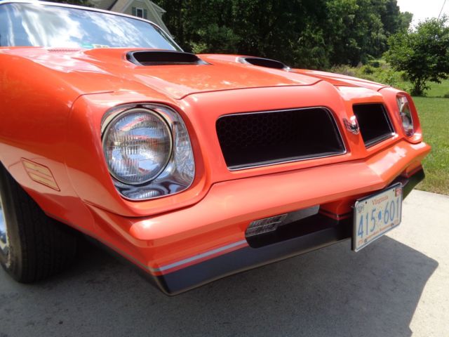 1976 Pontiac Firebird FORMULA 400 - photo 3
