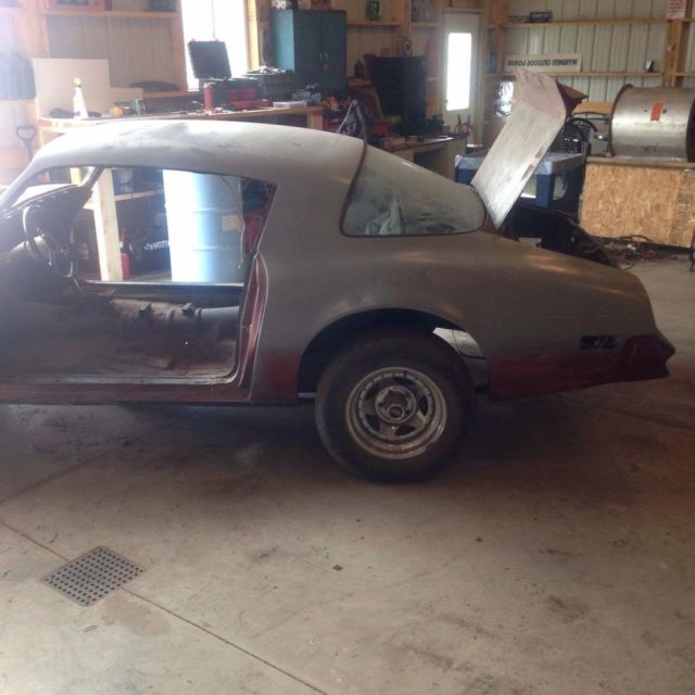 1976 Pontiac Firebird - photo 2