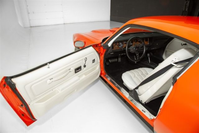 1976 Pontiac Firebird Amazing Car! - photo 11