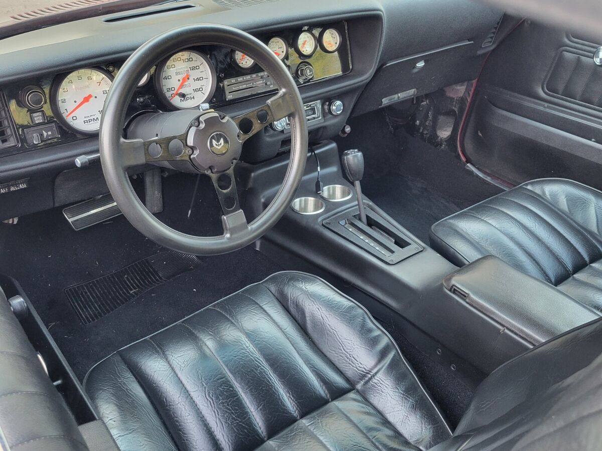1976 Pontiac Firebird Formula Firebird Custom - photo 13