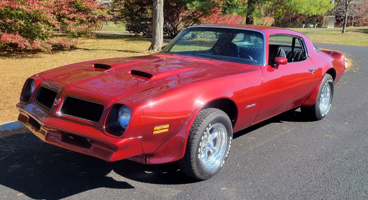 1976 Pontiac Firebird Formula Firebird Custom - photo 2