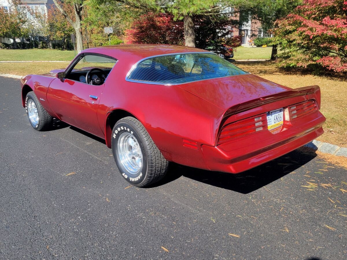 1976 Pontiac Firebird Formula Firebird Custom - photo 3