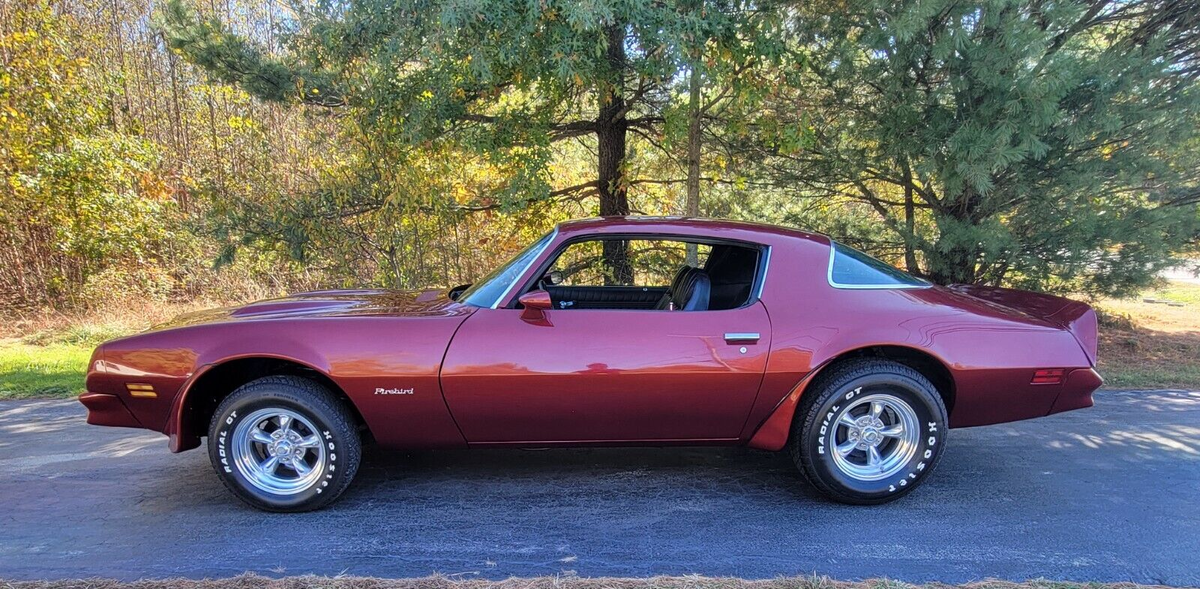 1976 Pontiac Firebird Formula Firebird Custom - photo 4