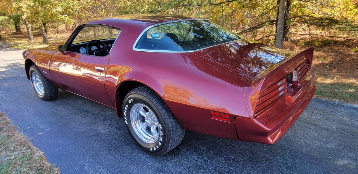 1976 Pontiac Firebird Formula Firebird Custom - photo 5