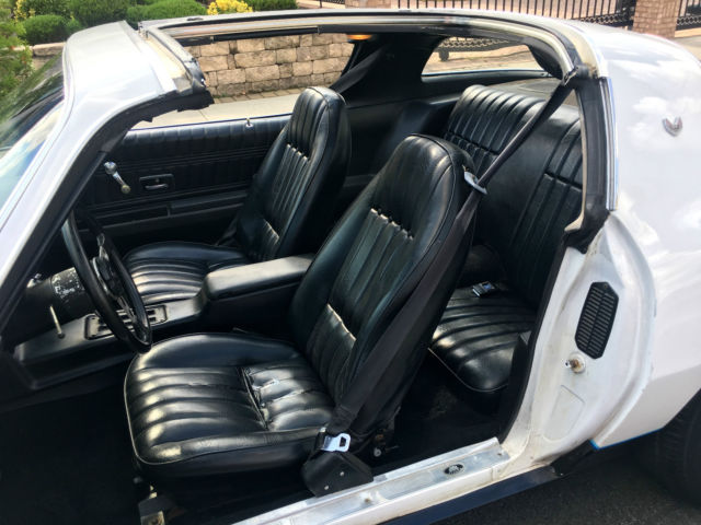 1976 Pontiac Firebird Formula - photo 11