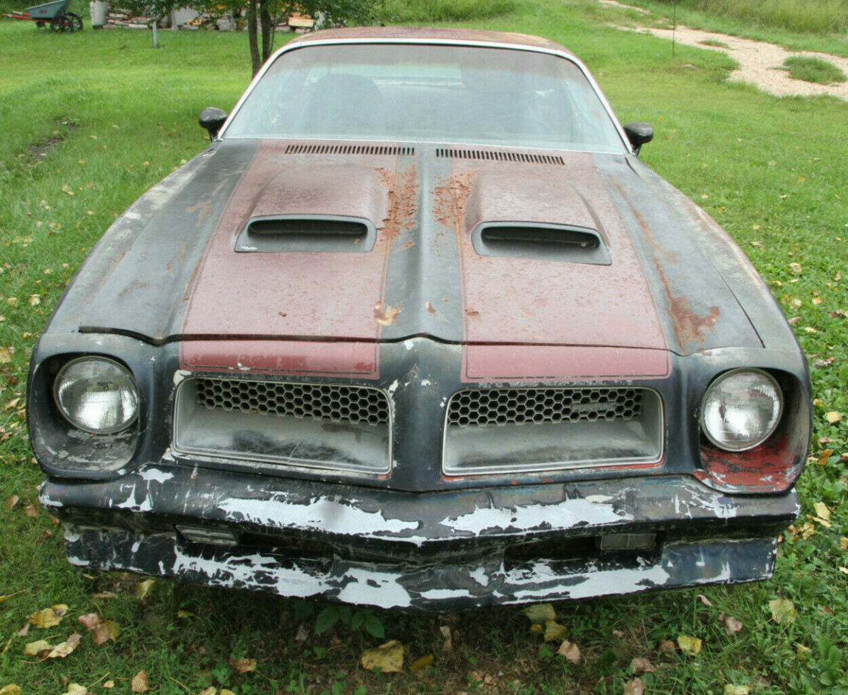 1976 Pontiac Firebird - photo 2
