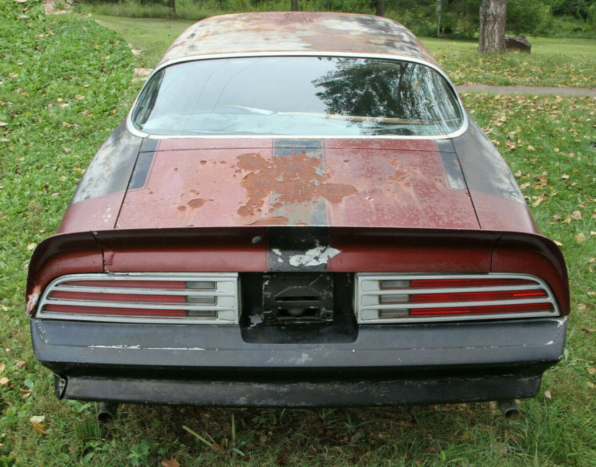 1976 Pontiac Firebird - photo 3