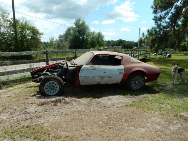 1976 Pontiac Firebird fire bird
