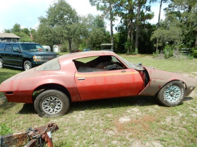 1976 Pontiac Firebird fire bird - photo 3