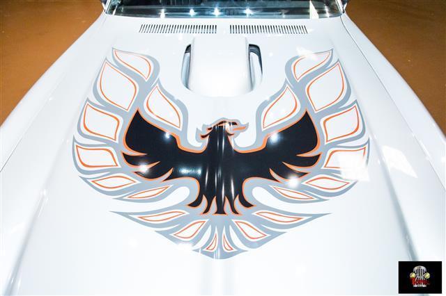 1976 Pontiac Firebird -- - photo 11