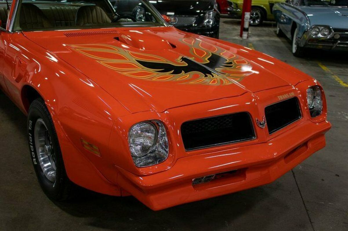 1976 Pontiac Trans Am - photo 9