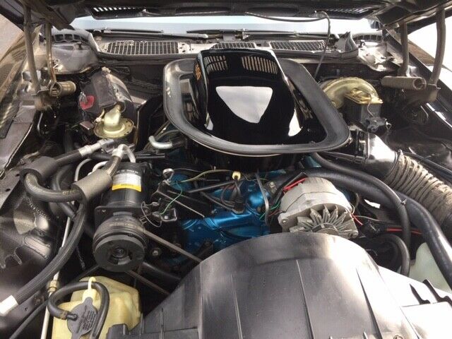 1976 Pontiac Trans Am - photo 8