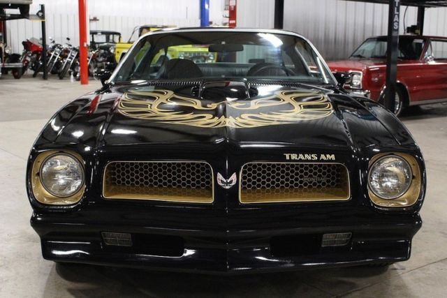 1976 Pontiac Firebird Trans Am - photo 8