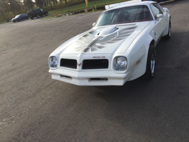 1976 Pontiac Firebird Trans Am - photo 6
