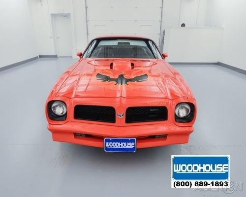 1976 Pontiac Firebird - photo 2