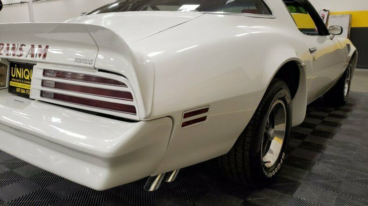 1976 Pontiac Firebird Trans Am - photo 11
