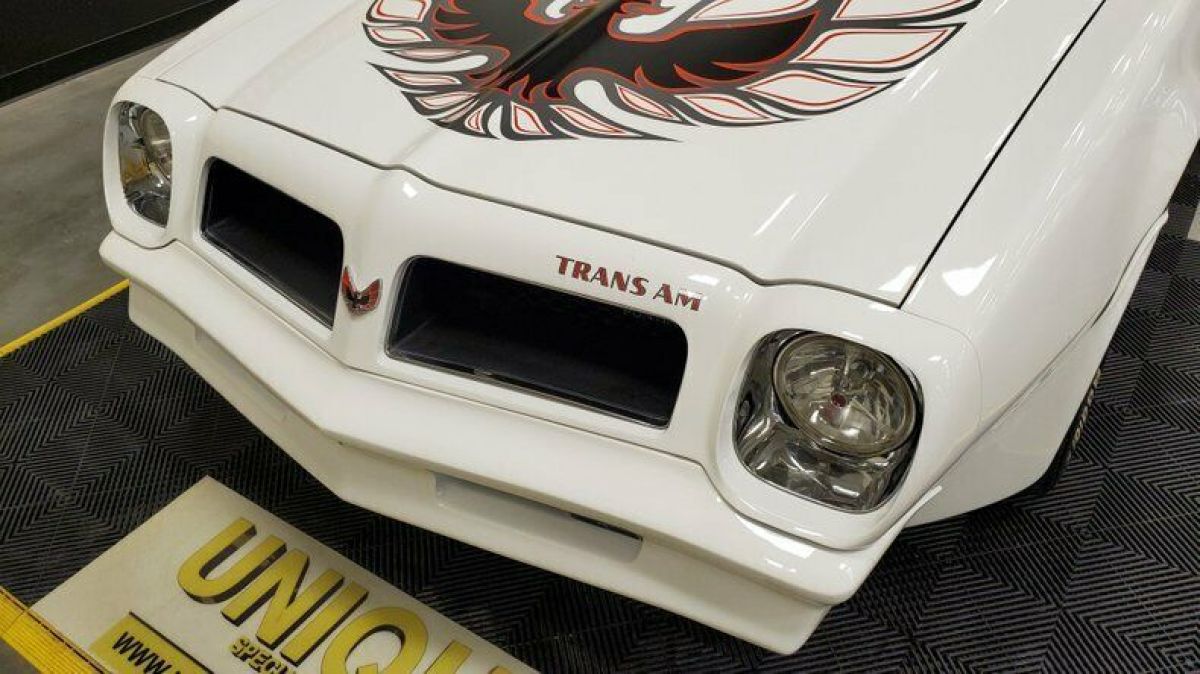 1976 Pontiac Firebird Trans Am - photo 12