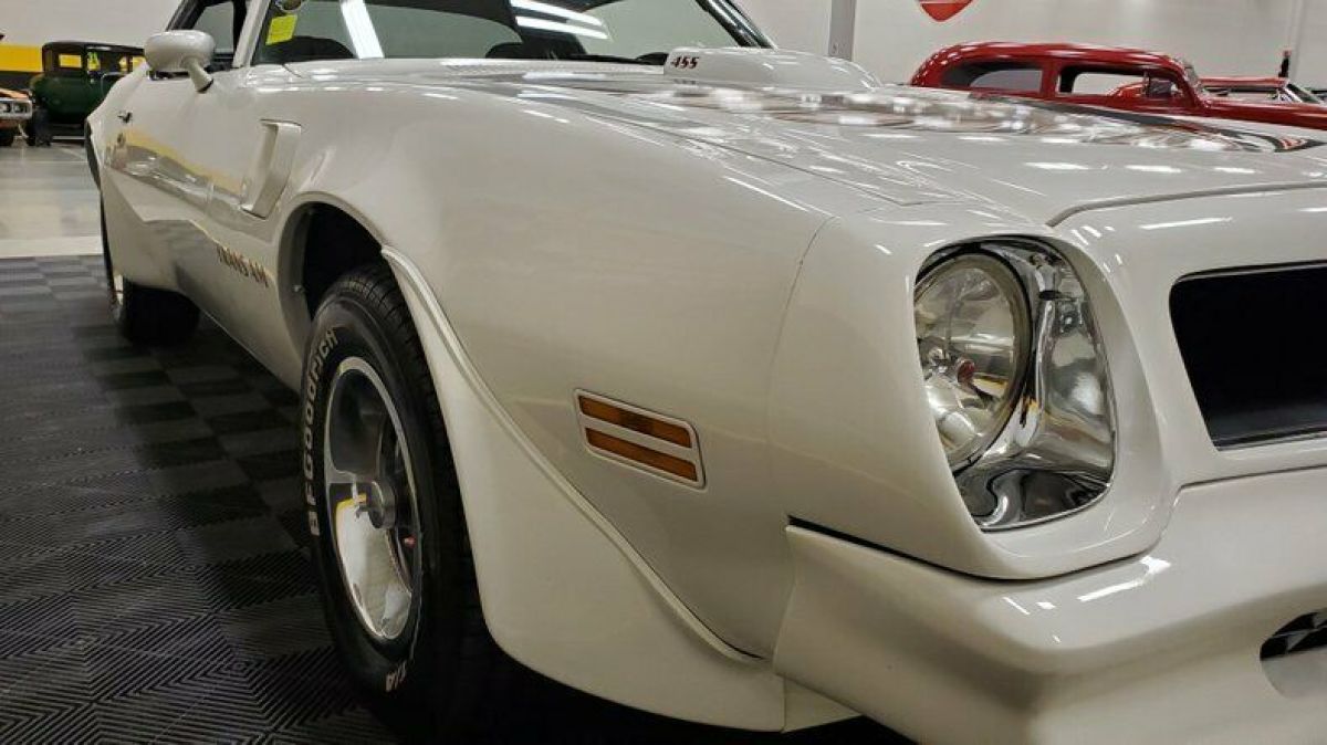 1976 Pontiac Firebird Trans Am - photo 8