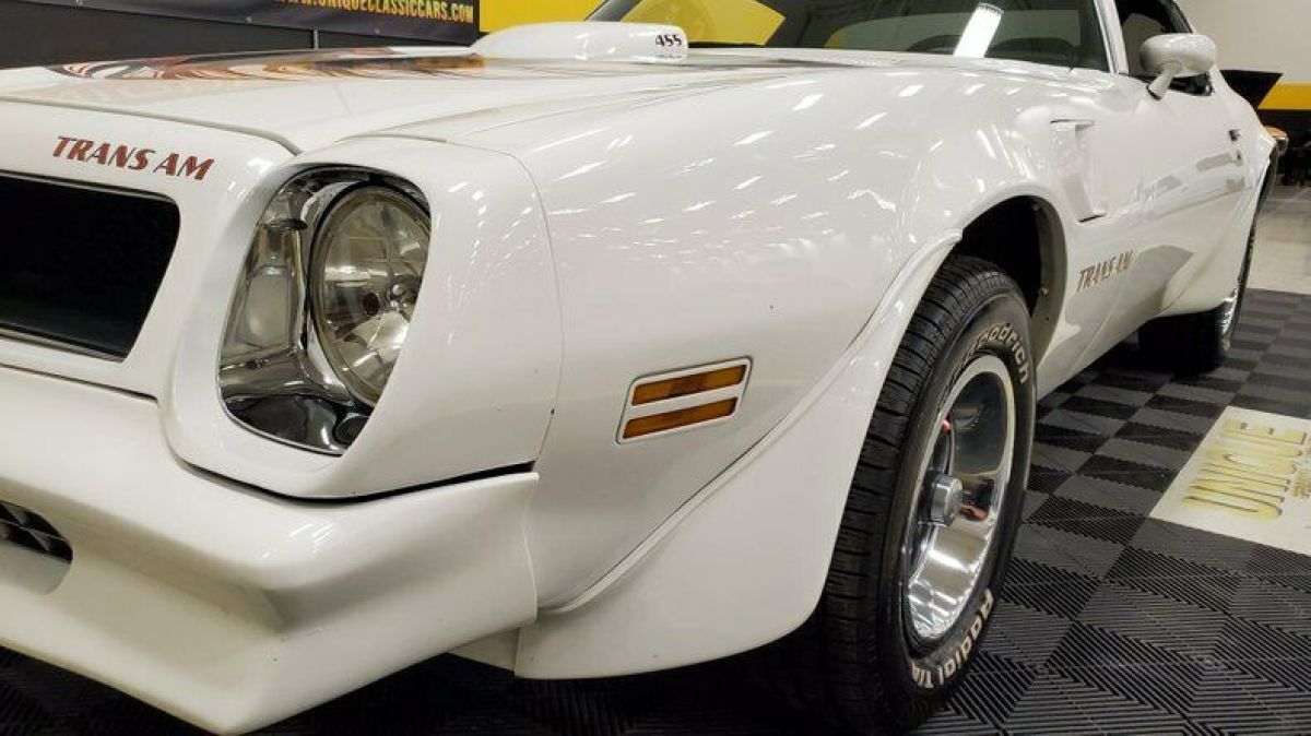 1976 Pontiac Firebird Trans Am - photo 9